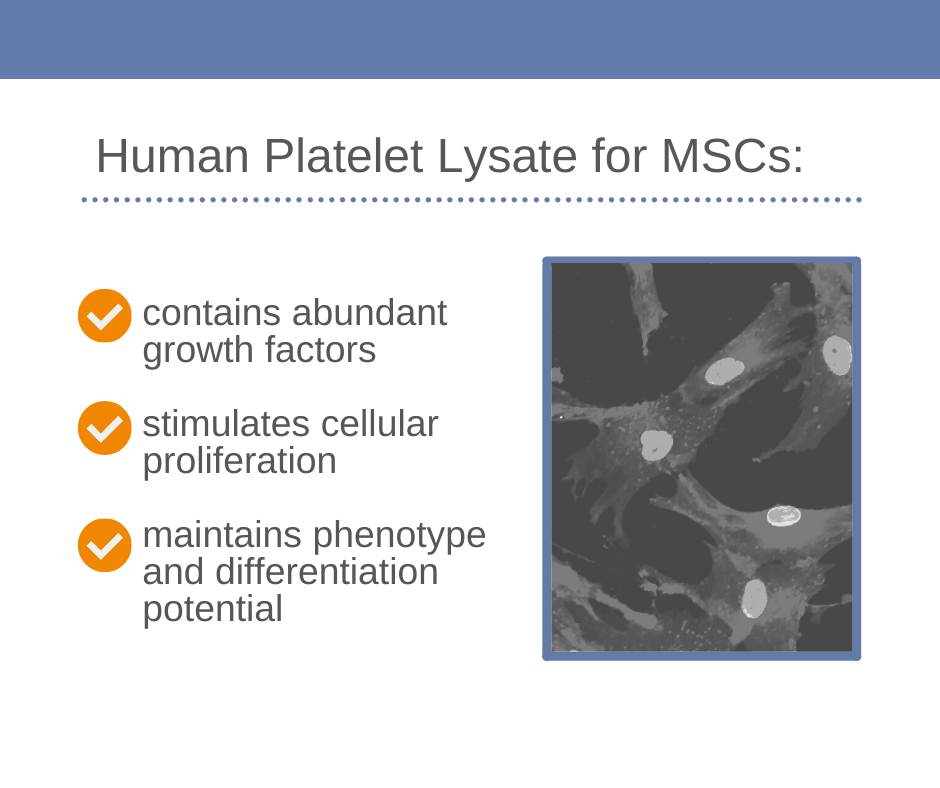 Human Platelet Lysate for MSCs