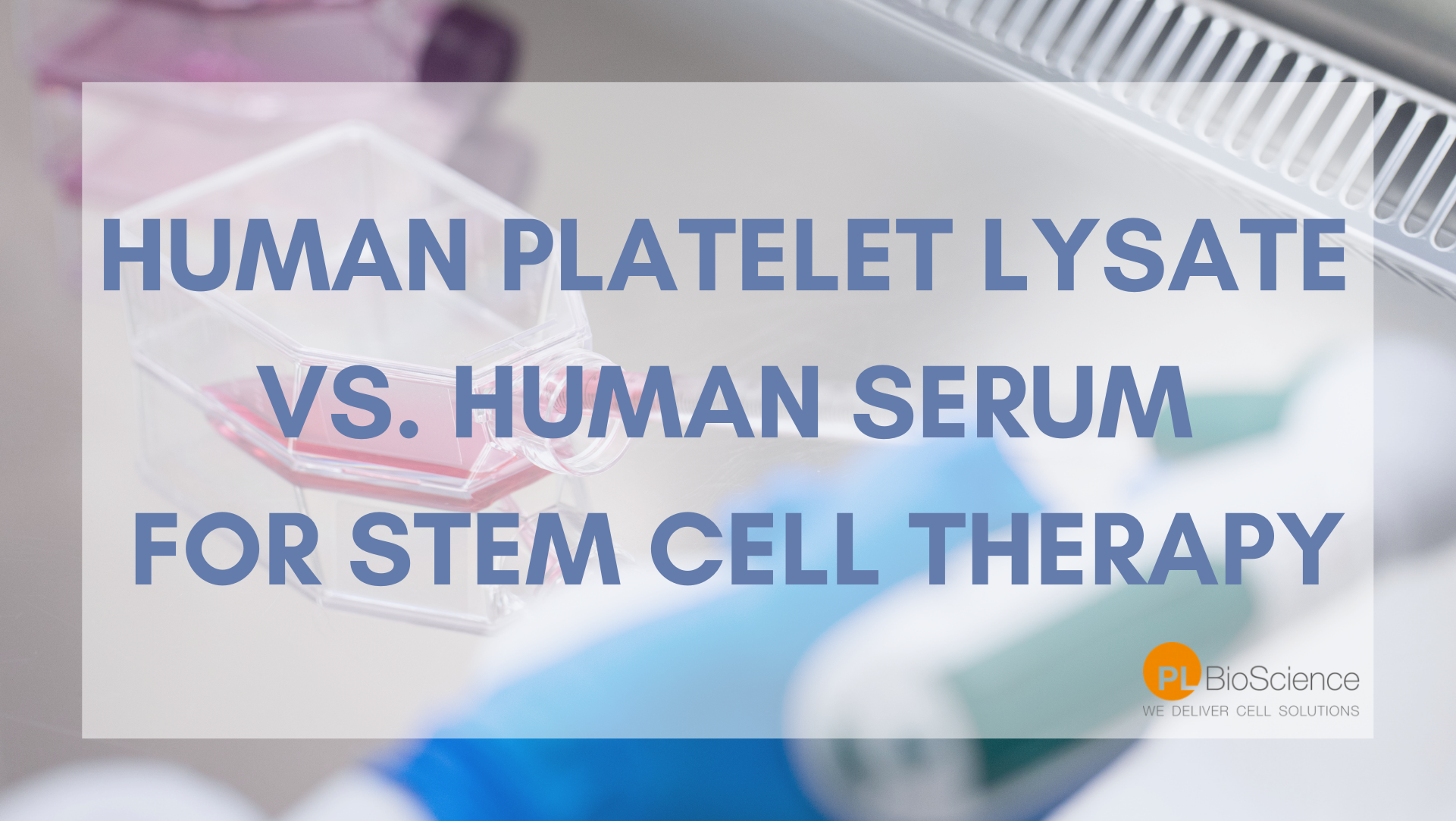 Human Platelet Lysate versus Human Serum for cell therapy