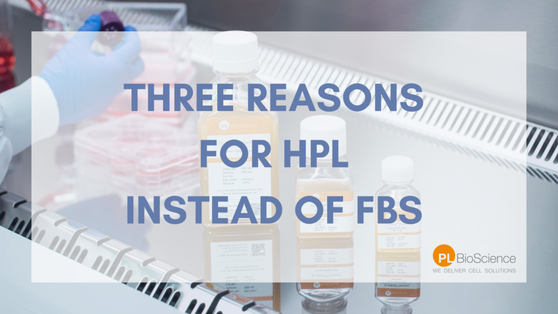 Three Reasons for HPL instead of FBS for Cell Therapy